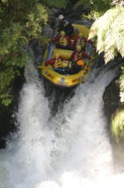 kaitiakikaituna